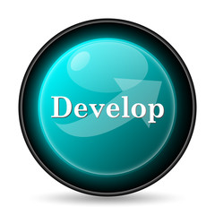 Develop icon