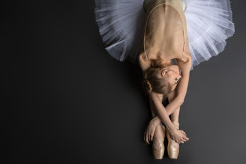 Graceful ballerina - obrazy, fototapety, plakaty