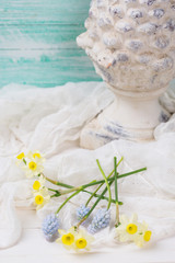 Obraz na płótnie Canvas Postcard with fresh flowers daffodils, muscari and decotative co