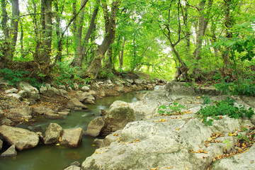 landscape of river, rocks and green trees