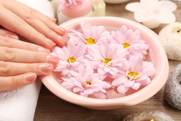 Fototapeta na wymiar Female hands and bowl of spa water with flowers, closeup