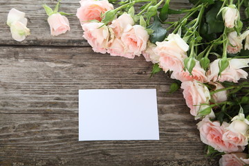 beautiful pink roses