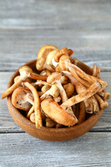 Mushrooms in a bowl