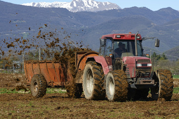 Obraz premium concimazione