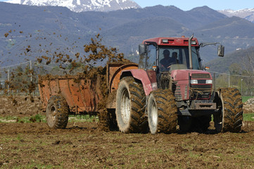 Obraz premium concimazione