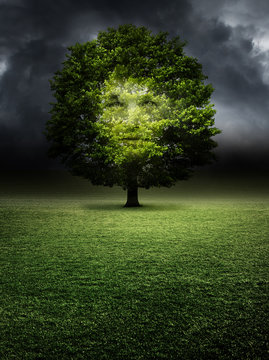 Doppelbelichtung Portr&auml;t im Baum