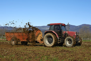 Obraz premium concimazione