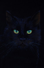 drawing of a black cat, oil painting, cat's eyes