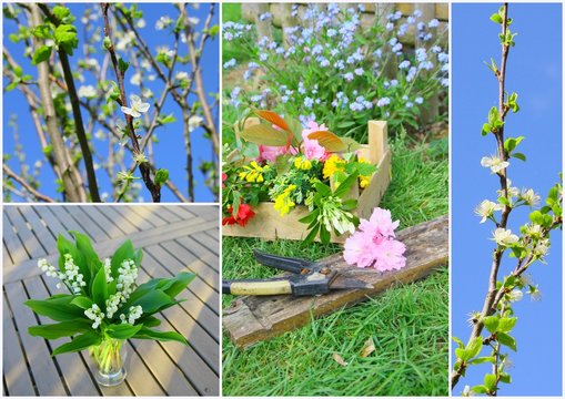 composition,printanier,muguet,myosotis  et branche fleurie