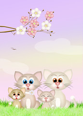 cats family in spring