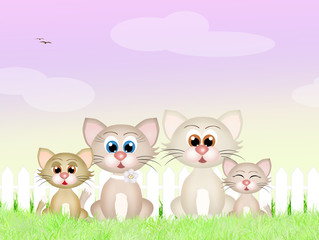 cats family