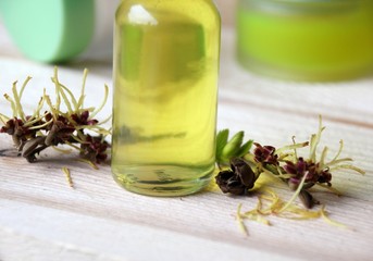 gesundheit aus der natur
