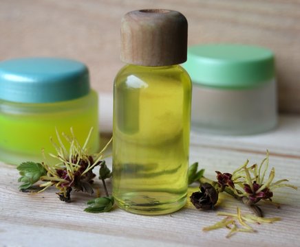 pflanzenheilkunde mit zaubernuss