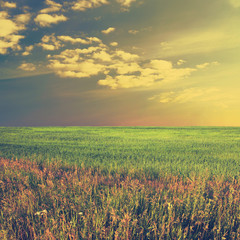 sky and fields, instagram retro style