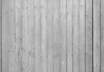 Fototapeta premium gray background