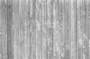 Fototapeta premium gray background
