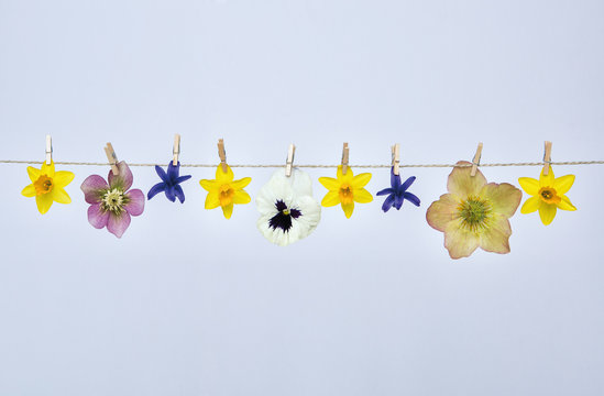 Blumenkette2