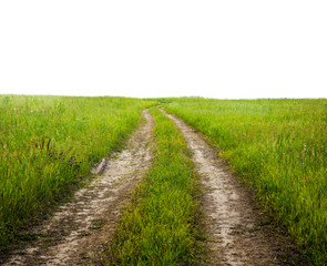 Country road through the fields