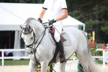 Crédence de cuisine en verre imprimé Léquitation Portraot of white horse during competition