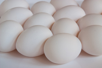Eggs