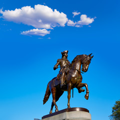 Obraz premium Boston Common George Washington monument