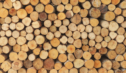 Cross section of the timber, firewood stack for the background