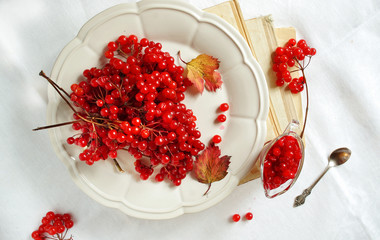 healthy viburnum jam