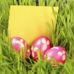 Easter Eggs in Grass