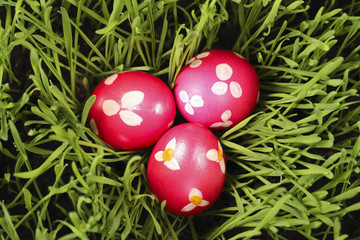 Easter Eggs in Grass