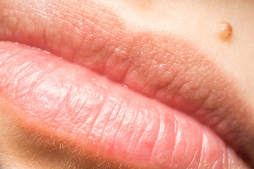 Woman Natural Lips Macro