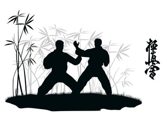 Two men are engaged karate, an illustration. © zhelunovych