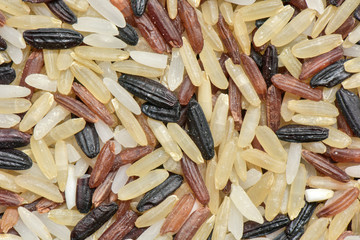 Close-up brown Rice