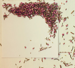 dried heather flowers on note paper