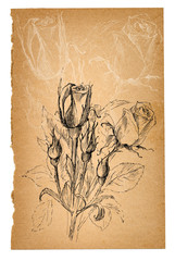 Flower sketch on old paper sheet