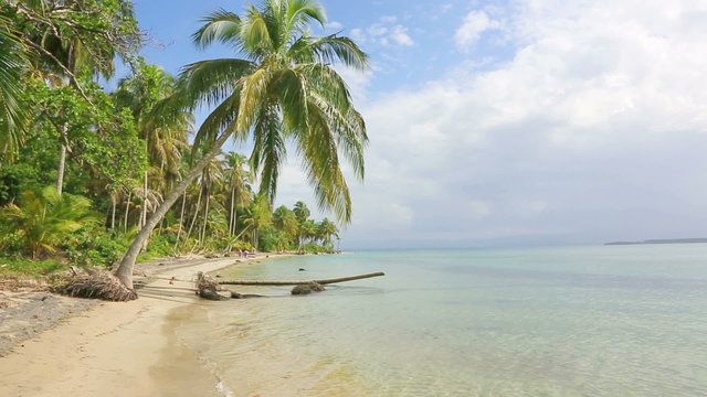 Starfish beach on the archipelago Bocas del Toro, Panama