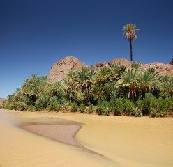 Oasis de Fint, Ouarzazate, Maroc