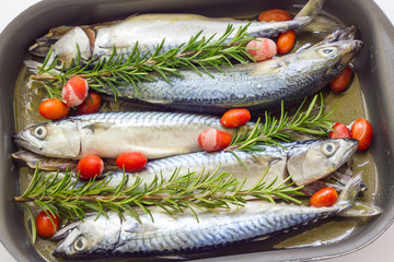 Mackerel baked with tomatoes