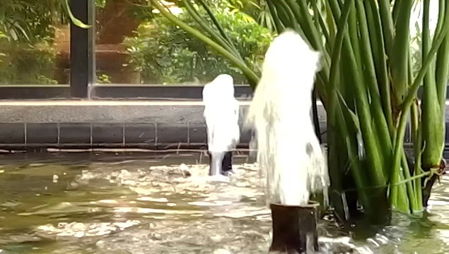 Double fountains in indoor garden