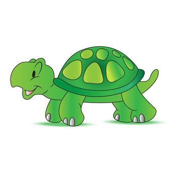 turtle, Vector, illustration