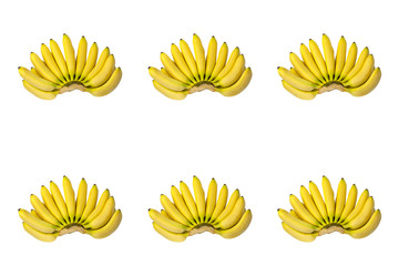 Six Brunches of Yellow Baby Bananas