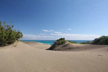 Fototapeta na wymiar République Dominicaine - Las dunas de las Salinas, ondulations
