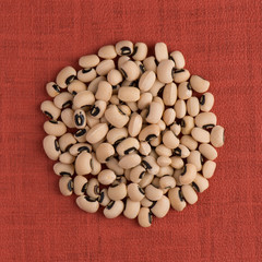 Circle of white beans