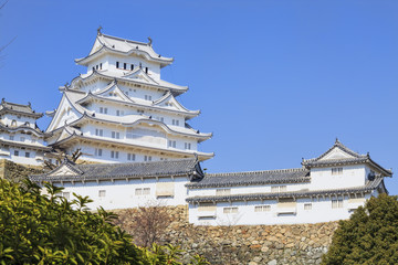 himeji castle during cherry blossom time
