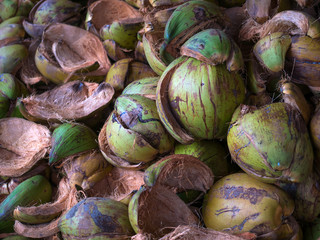 Fototapeta na wymiar Textured background of stack of hairy brown coconuts
