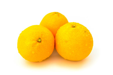 Oranges fruit on white background