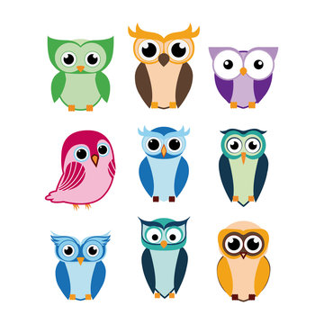 Owl design