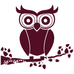 Owl design