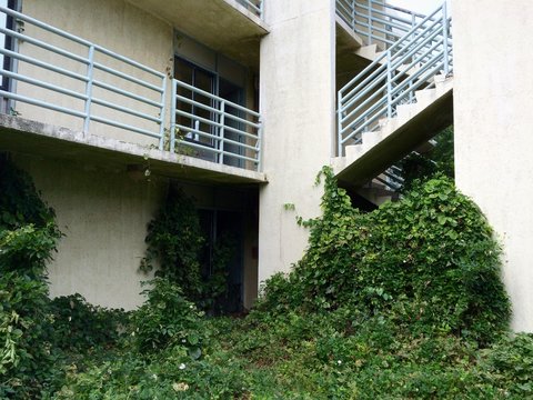 Abandoned military housing, Puerto Rico