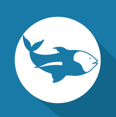 Fish design