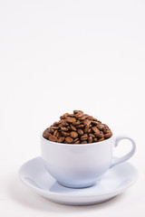 coffee bean on white paper background